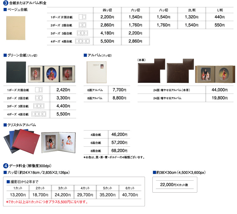 台紙またはアルバム料金 / データ料金