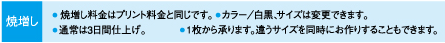 焼増し