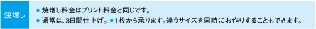 焼増し