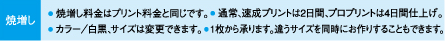 焼増し