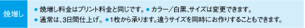 焼増し