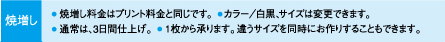 焼増し