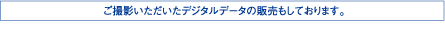 成人式当日ご使用+先撮り・後撮りセット