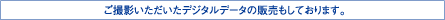 成人式当日ご利用料金